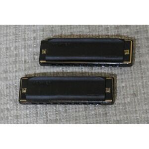 Hohner Hoodoo Blues Harmonica Set C & G  2 Diatonic Professional Harmonica Organ